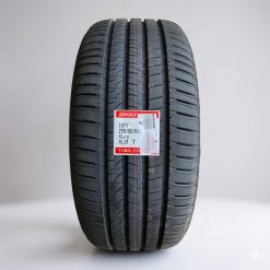 Lốp (Vỏ) Xe Bridgestone 255/50R19 107Y Alenza 001